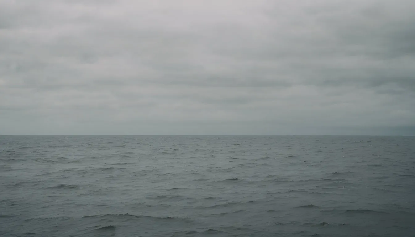 Avant de prendre la mer, il est indispensable de consulter :
